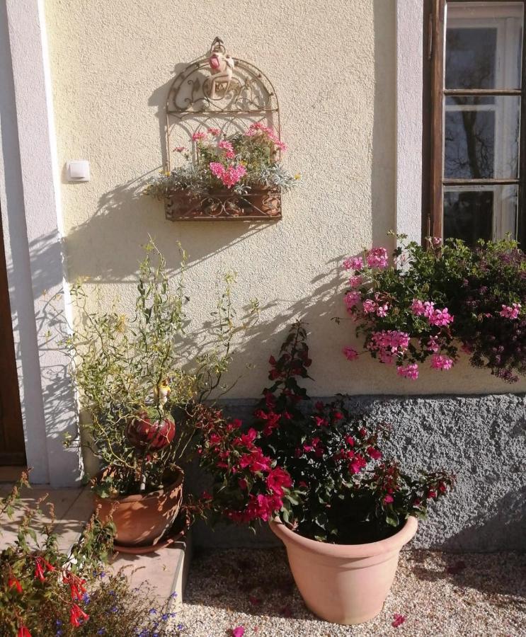 Marta'S House Guest House Блед Екстериор снимка
