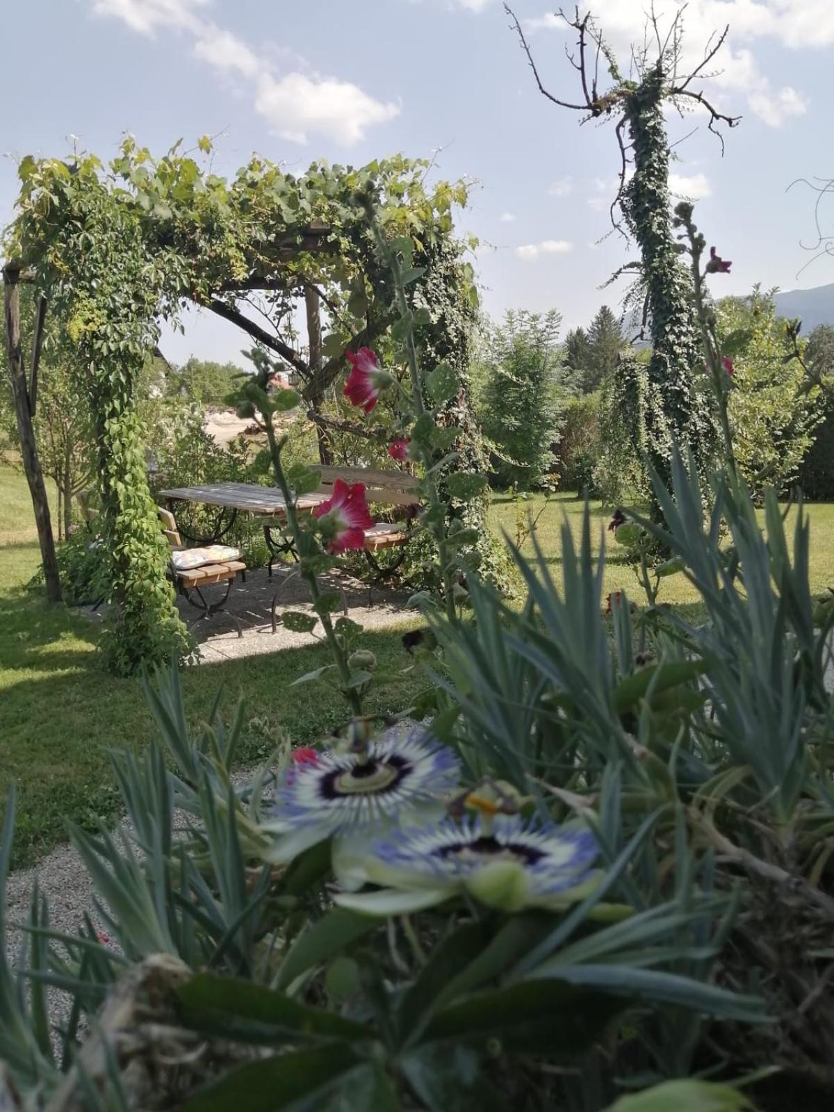 Marta'S House Guest House Блед Екстериор снимка